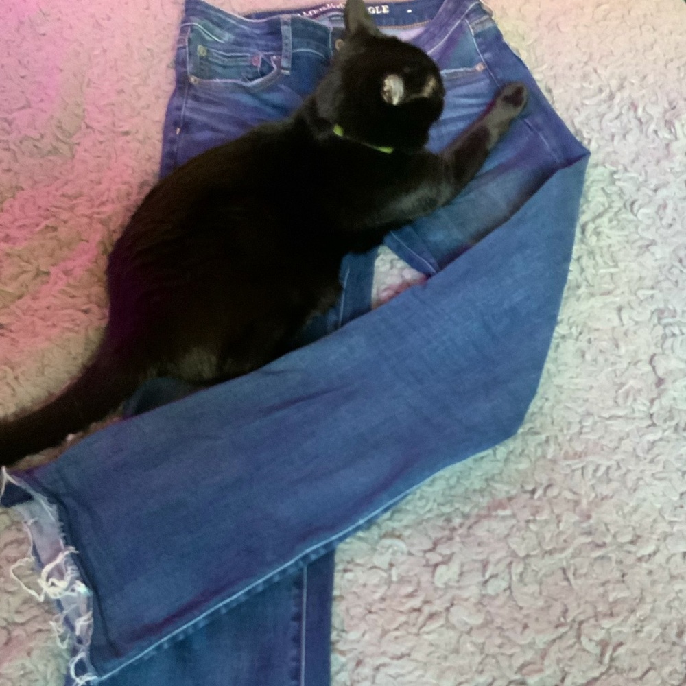 American Eagle Cropped Flare Jean